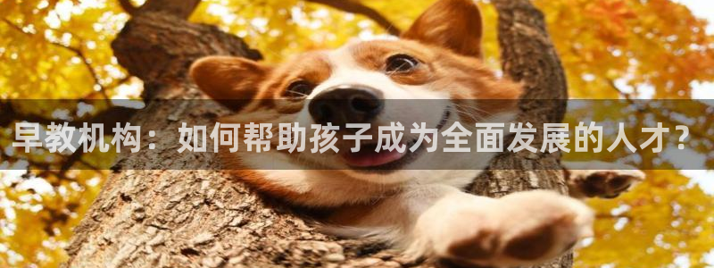 恒行娱乐卫74OOO5：早教机构：如何帮助孩子成为全面发展的人才？
