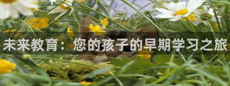 恒行2陈74OOO5：未来教育：您的孩子的早期学习之旅