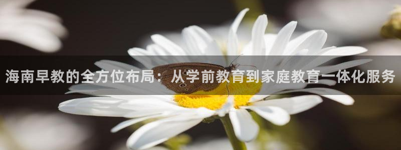 恒行2尤74OOO5：海南早教的全方位布局：从学前教育到家庭教育一体化服务