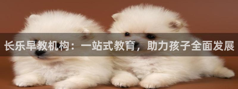 恒行2郑74OOO5：长乐早教机构：一站式教育，助力孩子全面发展