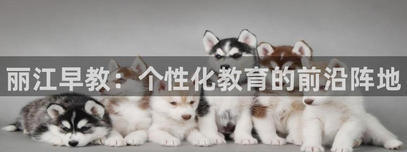 恒行2韩74OOO5：丽江早教：个性化教育的前沿阵地