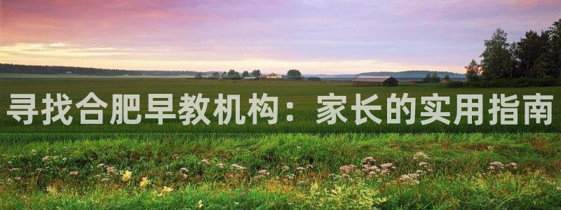 恒行2下74OO5：寻找合肥早教机构：家长的实用指南