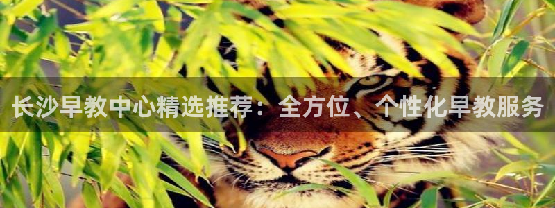 恒行2下74OO5：长沙早教中心精选推荐：全方位、个性化早教服务