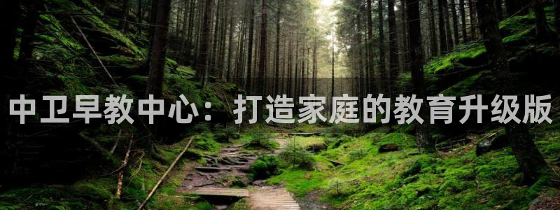 恒行娱乐吴74OOO5：中卫早教中心：打造家庭的教育升级版