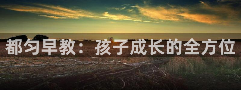 恒行主管首问6ll5l：都匀早教：孩子成长的全方位