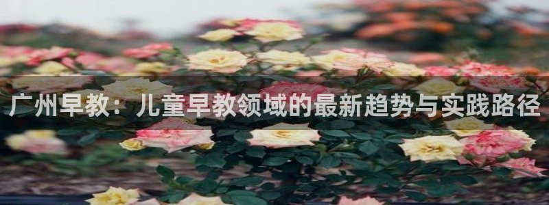 恒行2朱74OOO5：广州早教：儿童早教领域的最新趋势与实践路径