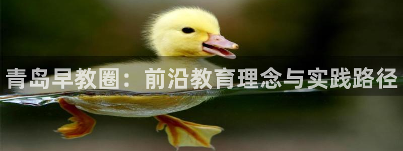 恒行2周74OOO5：青岛早教圈：前沿教育理念与实践路径