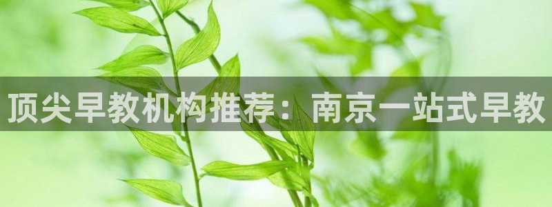 恒行娱乐5ll533主管正直：顶尖早教机构推荐：南京一站式早教