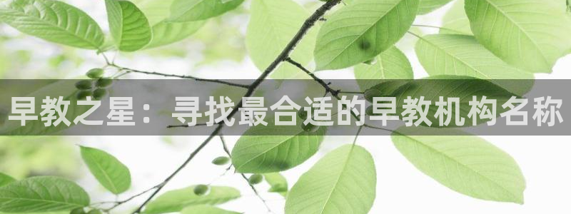 恒行2地74OOO5：早教之星：寻找最合适的早教机构名称