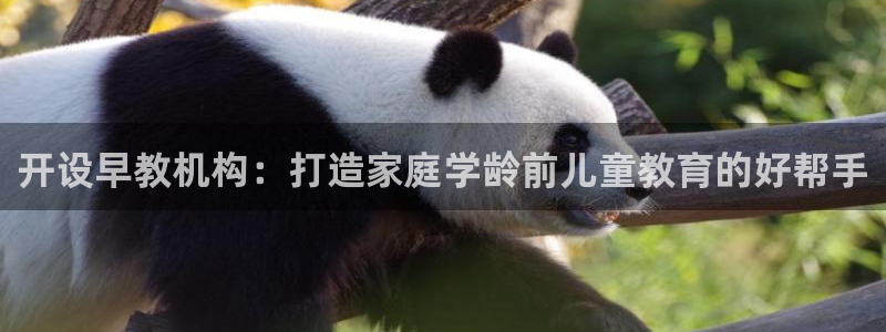 恒行2郑74OOO5：开设早教机构：打造家庭学龄前儿童教育的好帮手