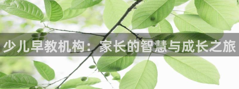 恒行娱乐度74ooo5聘霖：少儿早教机构：家长的智慧与成长之旅