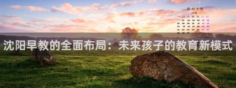 恒行2韩74OOO5：沈阳早教的全面布局：未来孩子的教育新模式