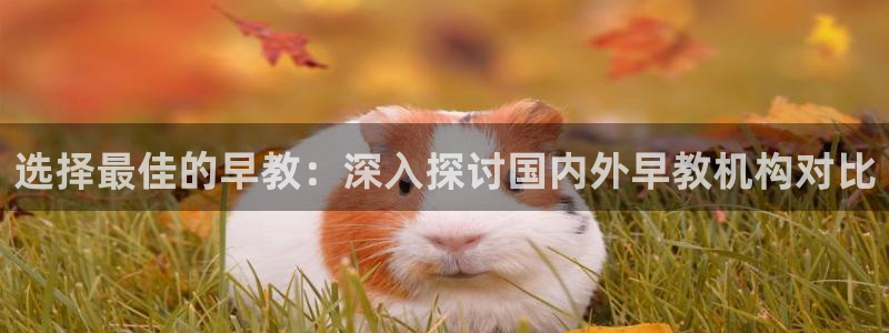 恒行娱乐吕74OOO5：选择最佳的早教：深入探讨国内外早教机构对比