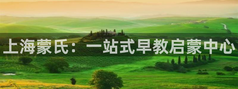 恒行娱乐郑74OOO5：上海蒙氏：一站式早教启蒙中心