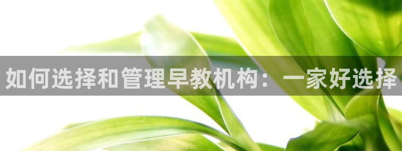 恒指5行情 如来再我心：如何选择和管理早教机构：一家好选择