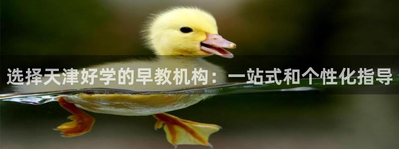 恒行娱乐卫74OOO5：选择天津好学的早教机构：一站式和个性化指导