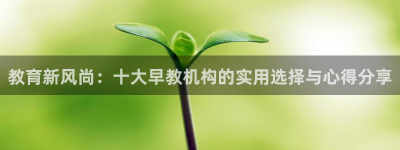 恒行2沈74OOO5:教育新风尚:十大早教机构的实用选择与心得分享