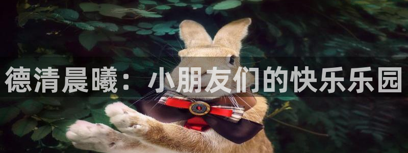 恒行2许74OOO5：德清晨曦：小朋友们的快乐乐园