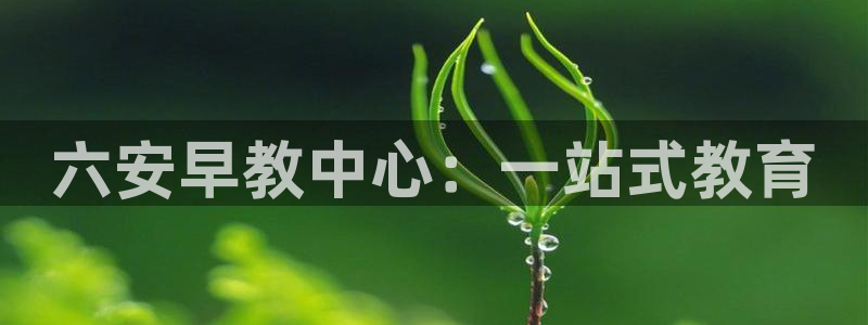 恒行彩票亏5千:六安早教中心:一站式教育