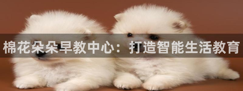 恒行娱乐见5ll533主管:棉花朵朵早教中心:打造智能生活教育