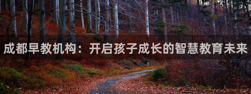 恒行主管6ll5l指定:成都早教机构:开启孩子成长的智慧教育未来