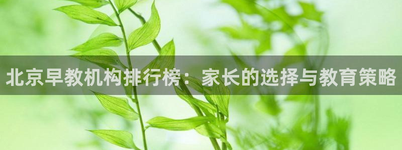 恒行娱乐周74OOO5:北京早教机构排行榜:家长的选择与教育策略