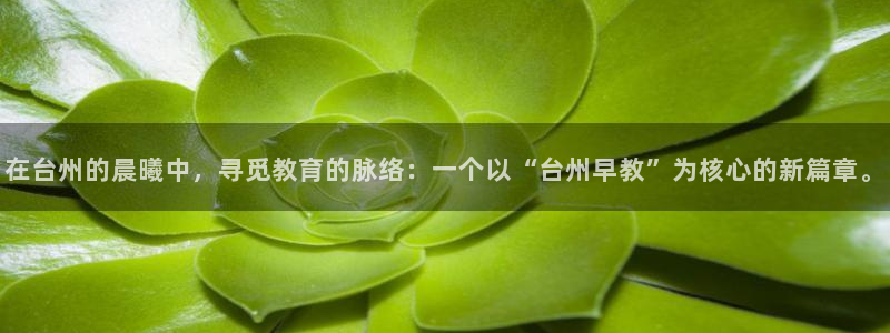 恒行2褚74OOO5:在台州的晨曦中,寻觅教育的脉络:一个以“台州早教”为核心的