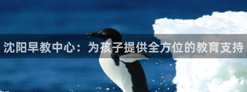 恒行2吕74OOO5:沈阳早教中心:为孩子提供全方位的教育支持