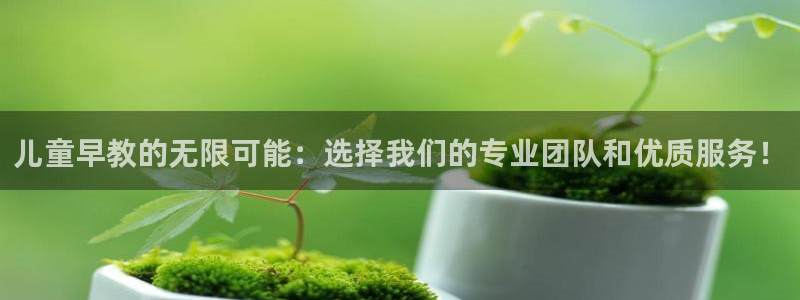 恒行2陈74OOO5:儿童早教的无限可能:选择我们的专业团队和优质服务!