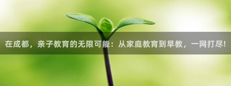 恒行2王74OOO5:在成都,亲子教育的无限可能:从家庭教育到早教,一网打尽!