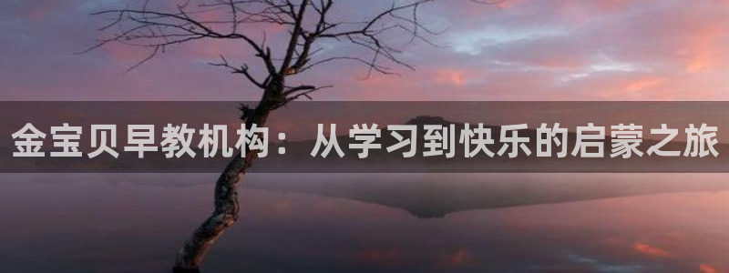 恒行5:金宝贝早教机构:从学习到快乐的启蒙之旅