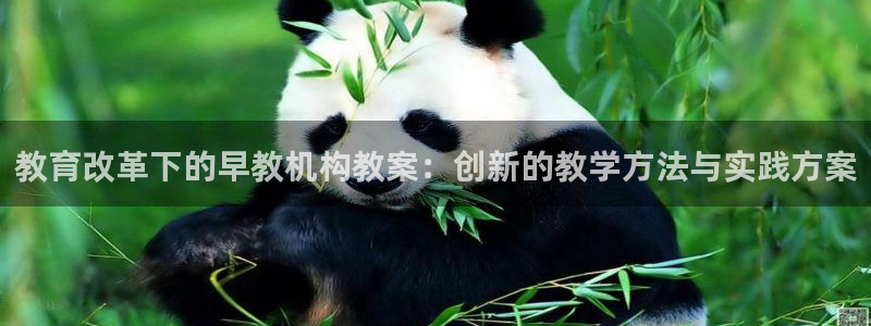 恒行娱乐景74ooo5诿抢:教育改革下的早教机构教案:创新的教学方法与实践方案