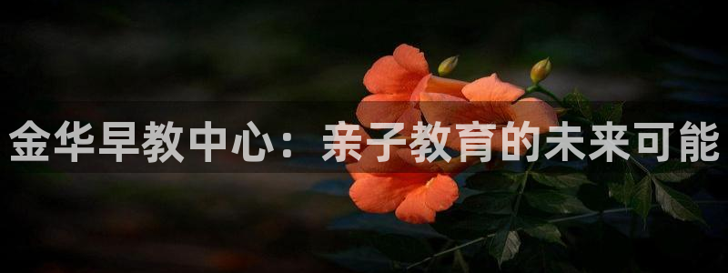 恒行2褚74OOO5：金华早教中心：亲子教育的未来可能