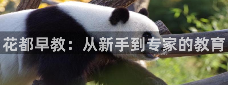 恒行2地74OOO5：花都早教：从新手到专家的教育