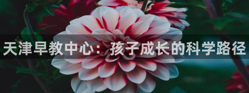 恒行2乃5O6917:天津早教中心:孩子成长的科学路径