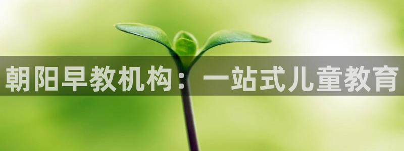 恒行2周74OOO5:朝阳早教机构:一站式儿童教育