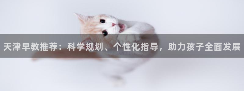 恒行5娱乐:天津早教推荐:科学规划、个性化指导,助力孩子全面发展