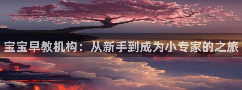 恒行2那74OOO5:宝宝早教机构:从新手到成为小专家的之旅