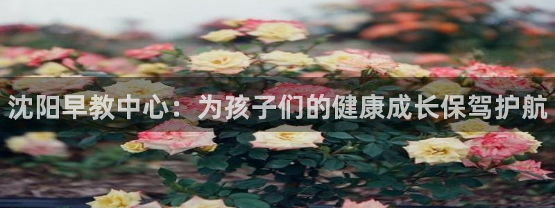 恒行2下74OO5:沈阳早教中心:为孩子们的健康成长保驾护航