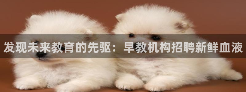 恒行2吴74OOO5：发现未来教育的先驱：早教机构招聘新鲜血液