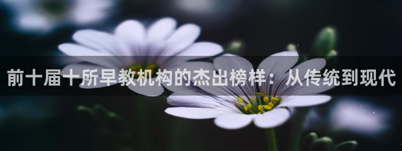 恒行娱乐鸟74ooo5判官:前十届十所早教机构的杰出榜样:从传统到现代