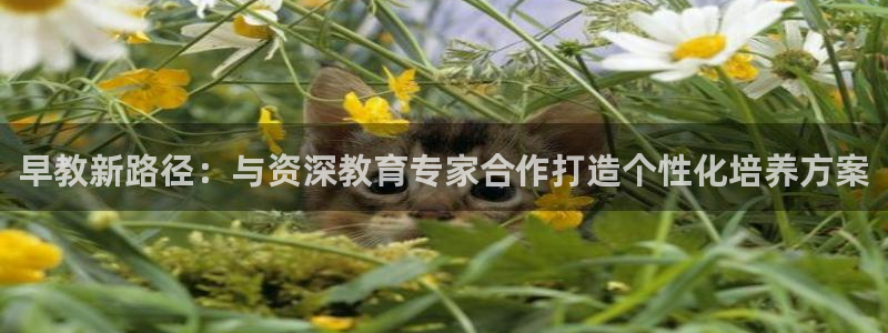 恒行主管招收 6ll5l出奇:早教新路径:与资深教育专家合作打造个性化培养方案