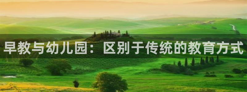 恒行娱乐陈74OOO5:早教与幼儿园:区别于传统的教育方式