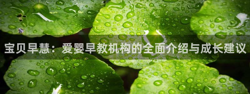 恒行2朱74OOO5：宝贝早慧：爱婴早教机构的全面介绍与成长建议