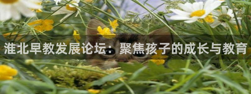 恒行注册招收6ll5l指定：淮北早教发展论坛：聚焦孩子的成长与教育