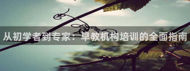 恒行娱乐见5ll533主管:从初学者到专家:早教机构培训的全面指南