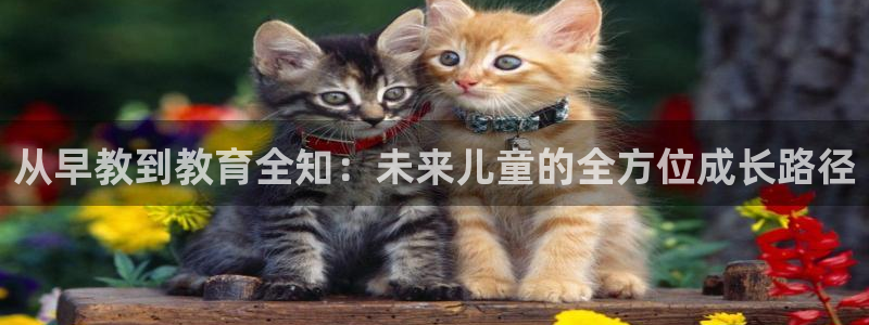 恒行2卫74OOO5：从早教到教育全知：未来儿童的全方位成长路径