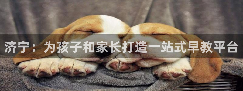 恒行2沈74OOO5:济宁:为孩子和家长打造一站式早教平台