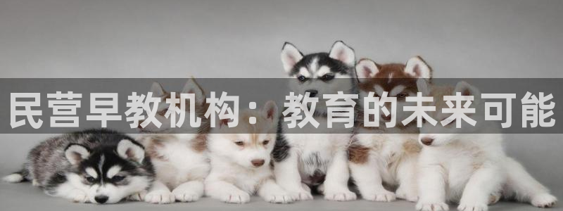 恒行2吴74OOO5:民营早教机构:教育的未来可能