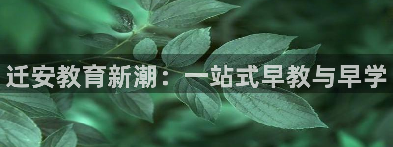 恒行娱乐芍皇74ooo5蛹:迁安教育新潮:一站式早教与早学